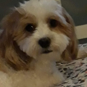 Meet your Posher, Jackelyn